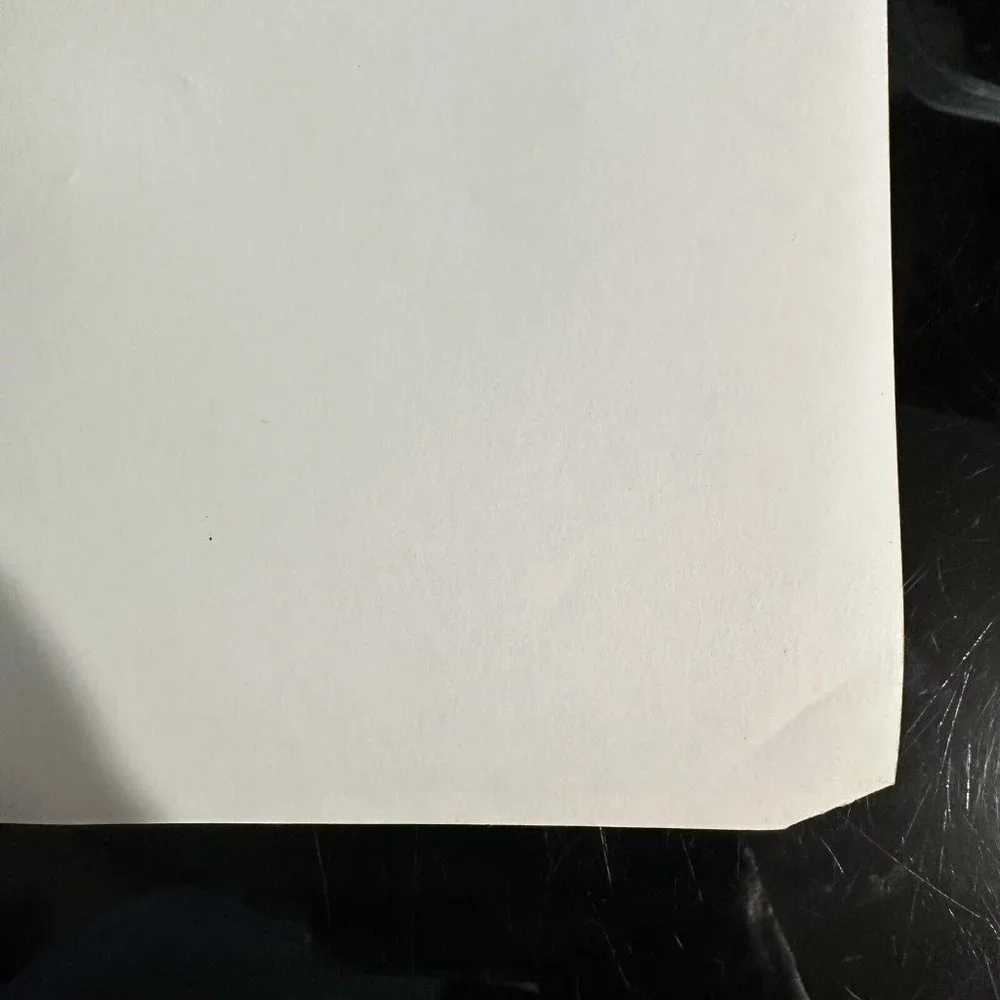 Vintage 1962 State Fair Pat Boone Ann Margret Movie Still Promo B & W Photo - Picture 10 of 12